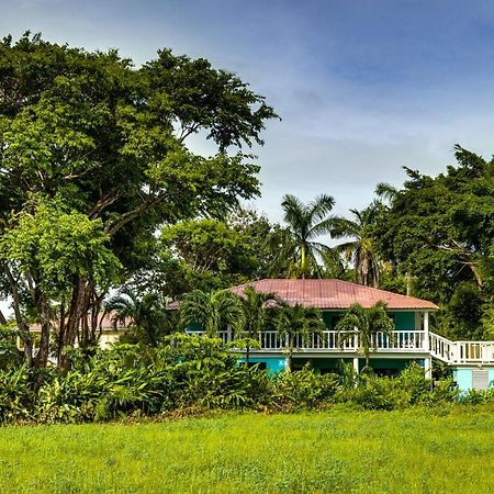 The Sea Glass Inn Placencia المظهر الخارجي الصورة