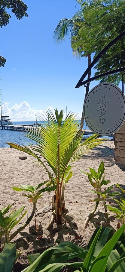 The Sea Glass Inn Placencia المظهر الخارجي الصورة